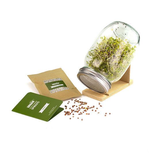 Urban Greens - Sprout Jar Kit (Radish)