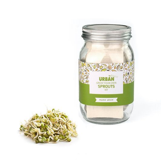 Urban Greens - Sprout Jar Kit (Mung Beans)