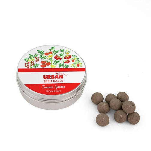 Urban Greens Tomato Garden seed balls in a tin with nutrient-rich protective coating.