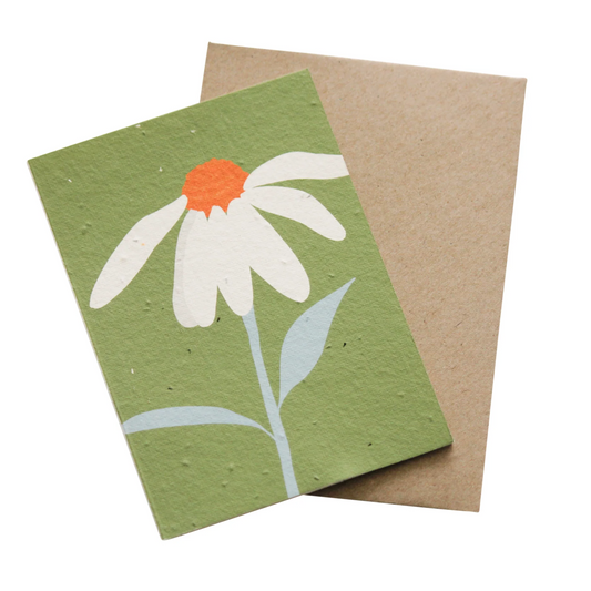 Hello Petal - Hey Flower Plantable Card