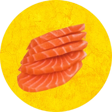 Petzyo - Salmon & Ocean Fish dry dog food
