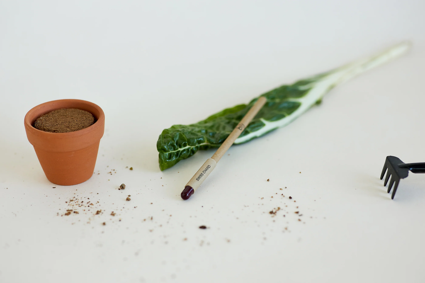 Left-Handesign | Plantable  BĪJ Pen, Swiss Chard Purple TIP