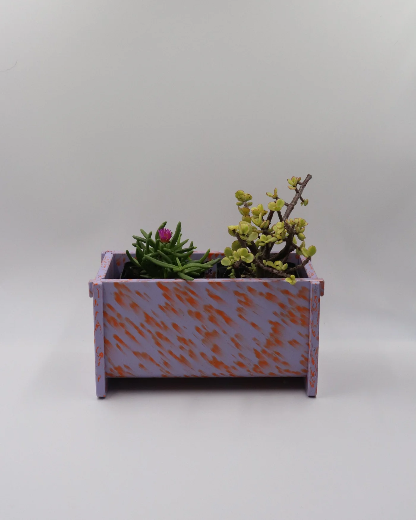 Potato and Sprout - Planter Pot + Drip Tray - Small Long