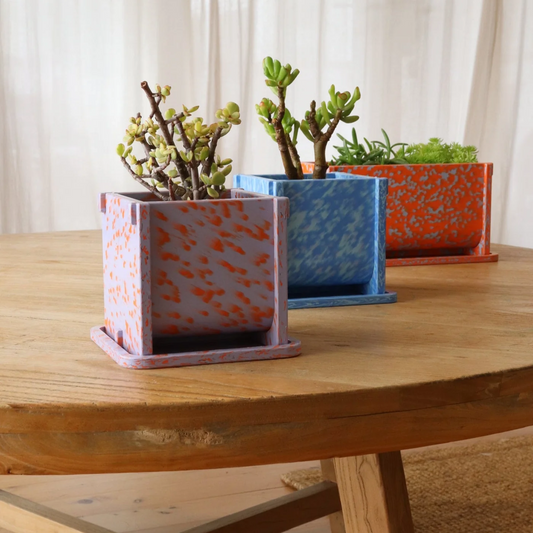 Potato and Sprout - Planter Pot + Drip Tray - Small