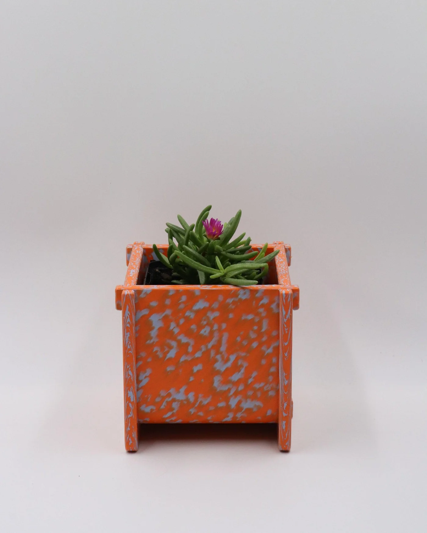 Potato and Sprout - Planter Pot + Drip Tray - Small