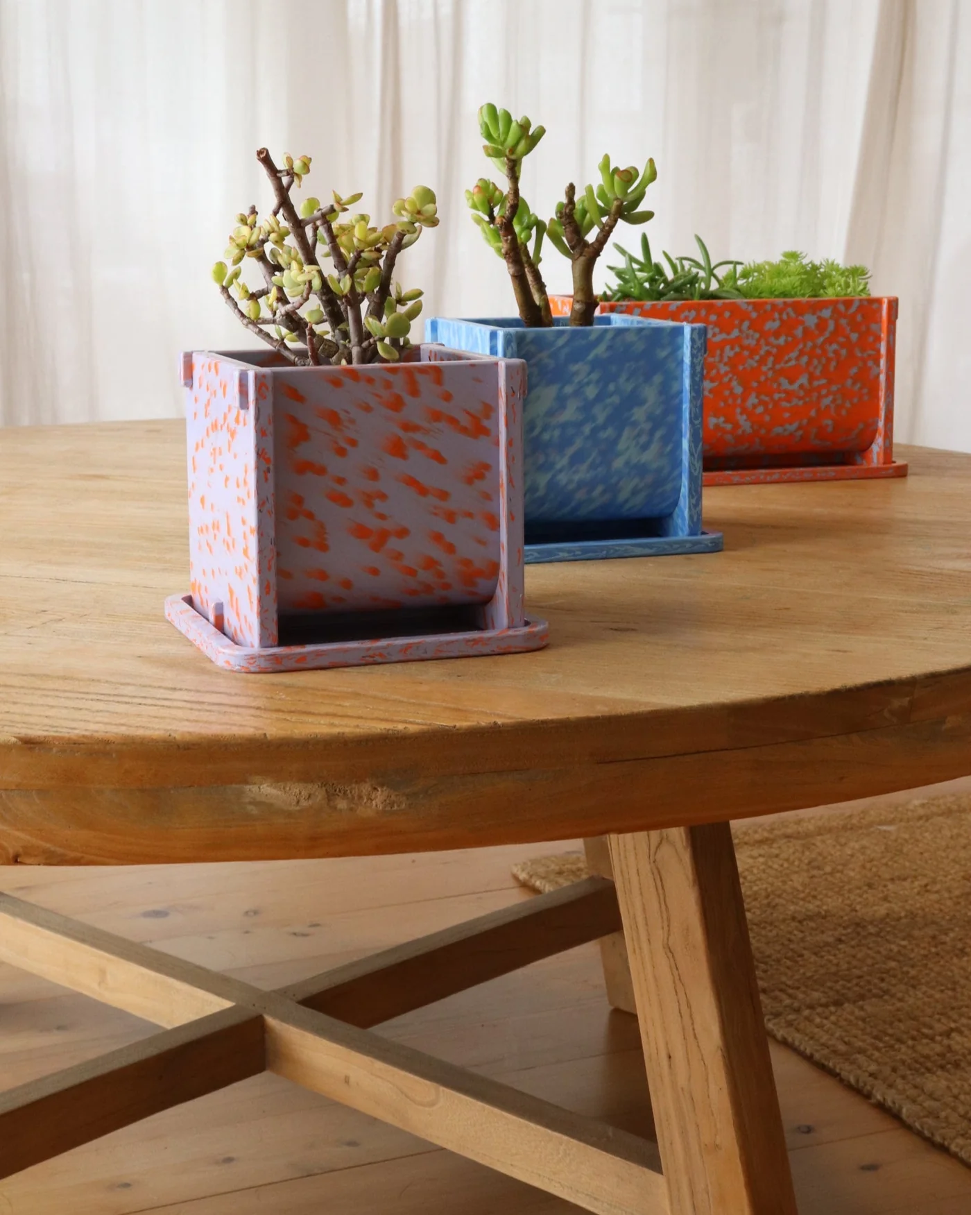 Potato and Sprout - Planter Pot + Drip Tray - Small Long