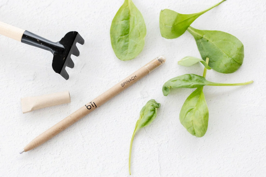 Left-Handesign | Plantable  BĪJ Pen, Spinach