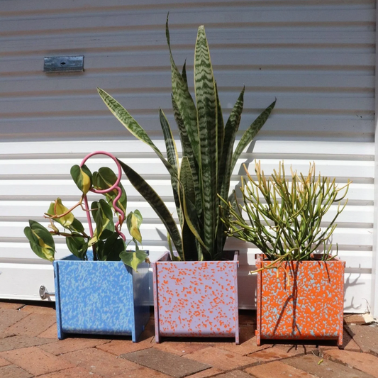 Potato and Sprout - Planter Pot + Drip Tray - Medium