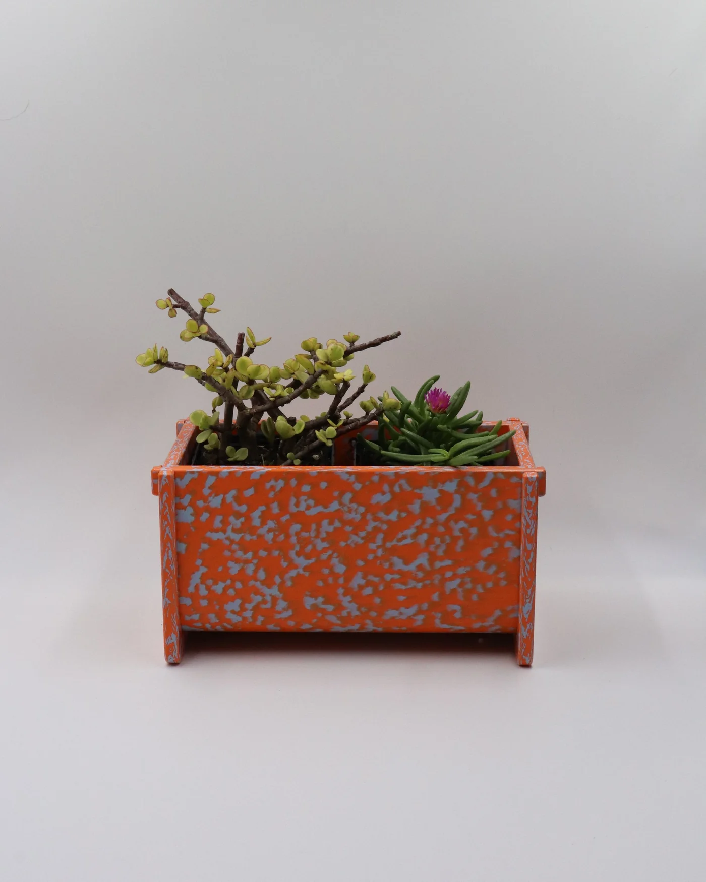 Potato and Sprout - Planter Pot + Drip Tray - Small Long