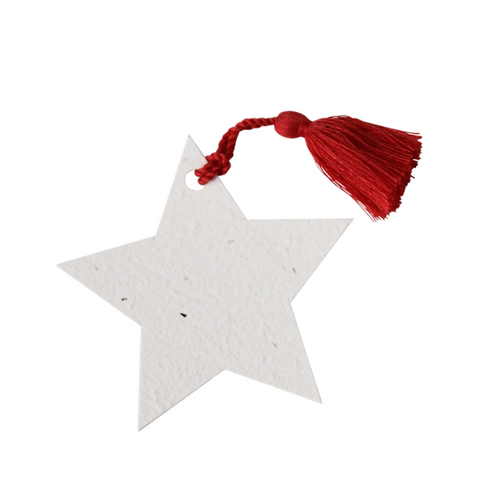 Hello Petal - Star Plantable Gift Tag and Tassel