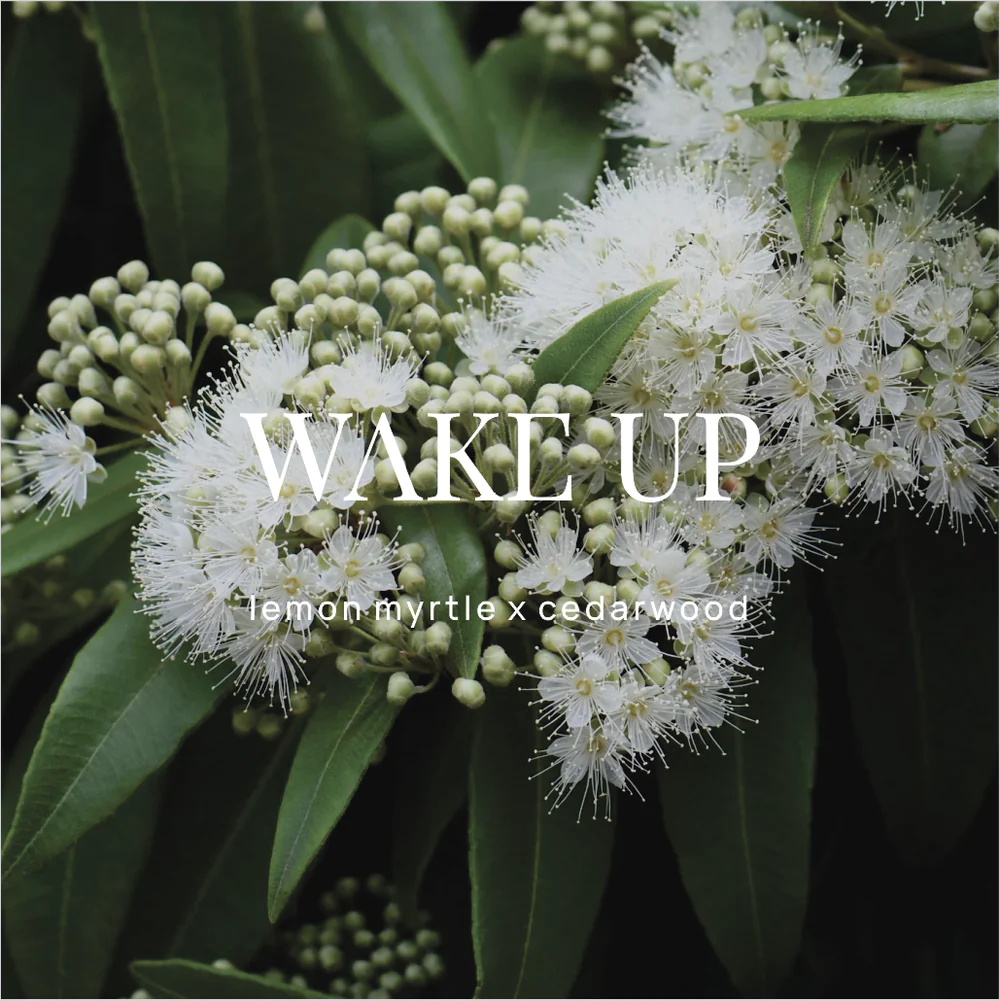 Wild Emery - Shower Steamer, Wake Up