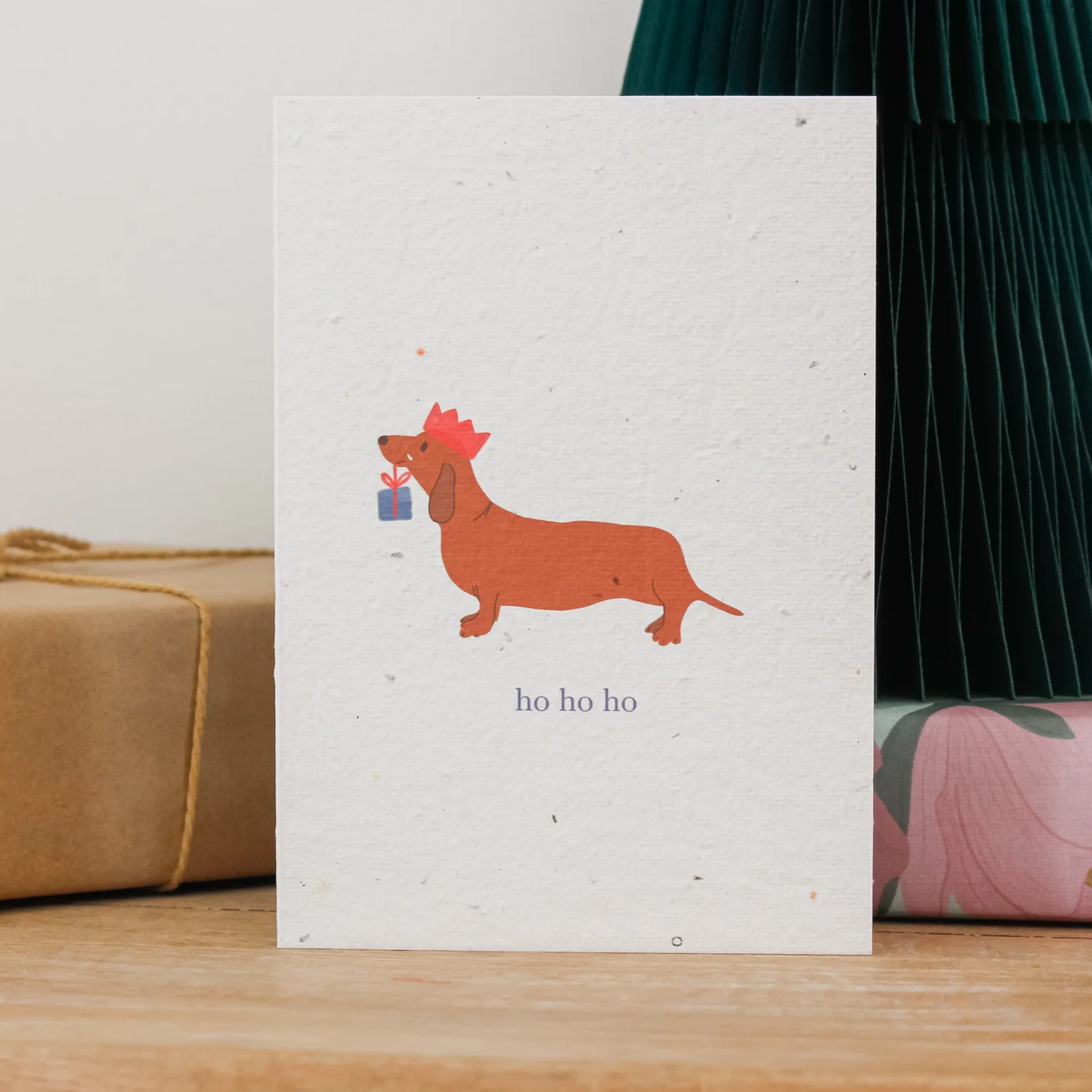 Hello Petal - Ho Ho Ho Plantable Card