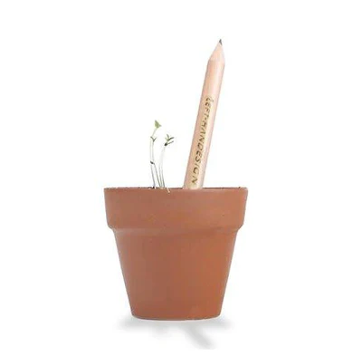 Left-Handesign | Plantable  BĪJ Pencil, Carrot