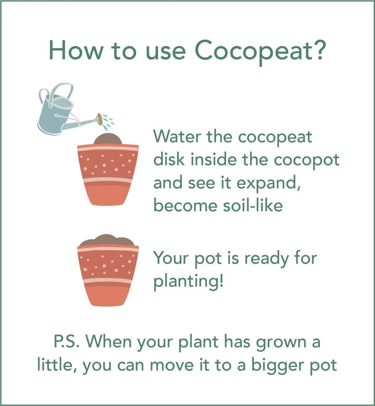 Left-Handesign | Coco Pot + Coco Peat