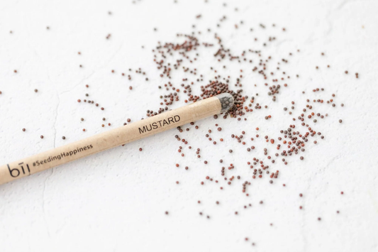 Left-Handesign | Plantable  BĪJ Pen, Mustard