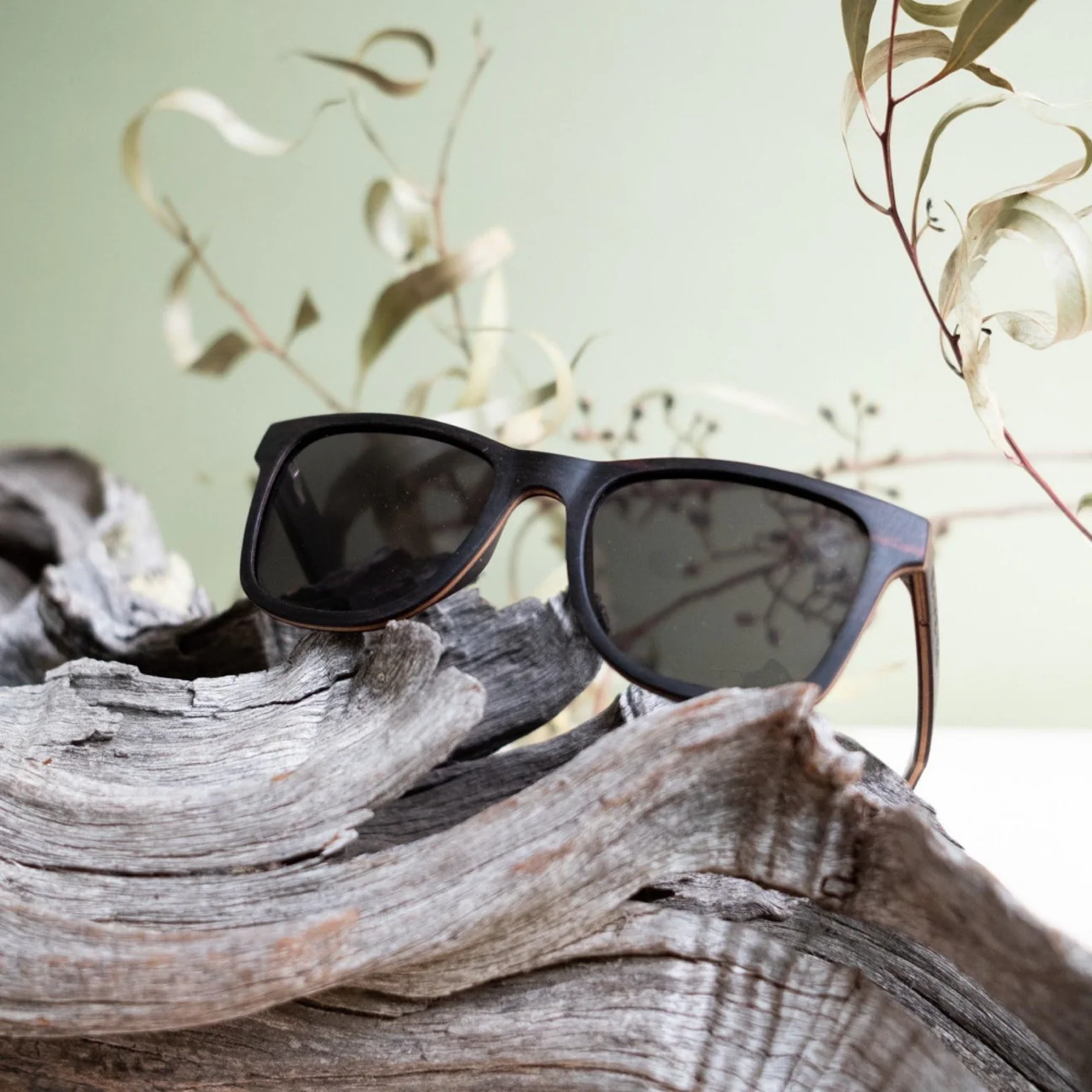 Bambies - Colac Eco Sunglasses