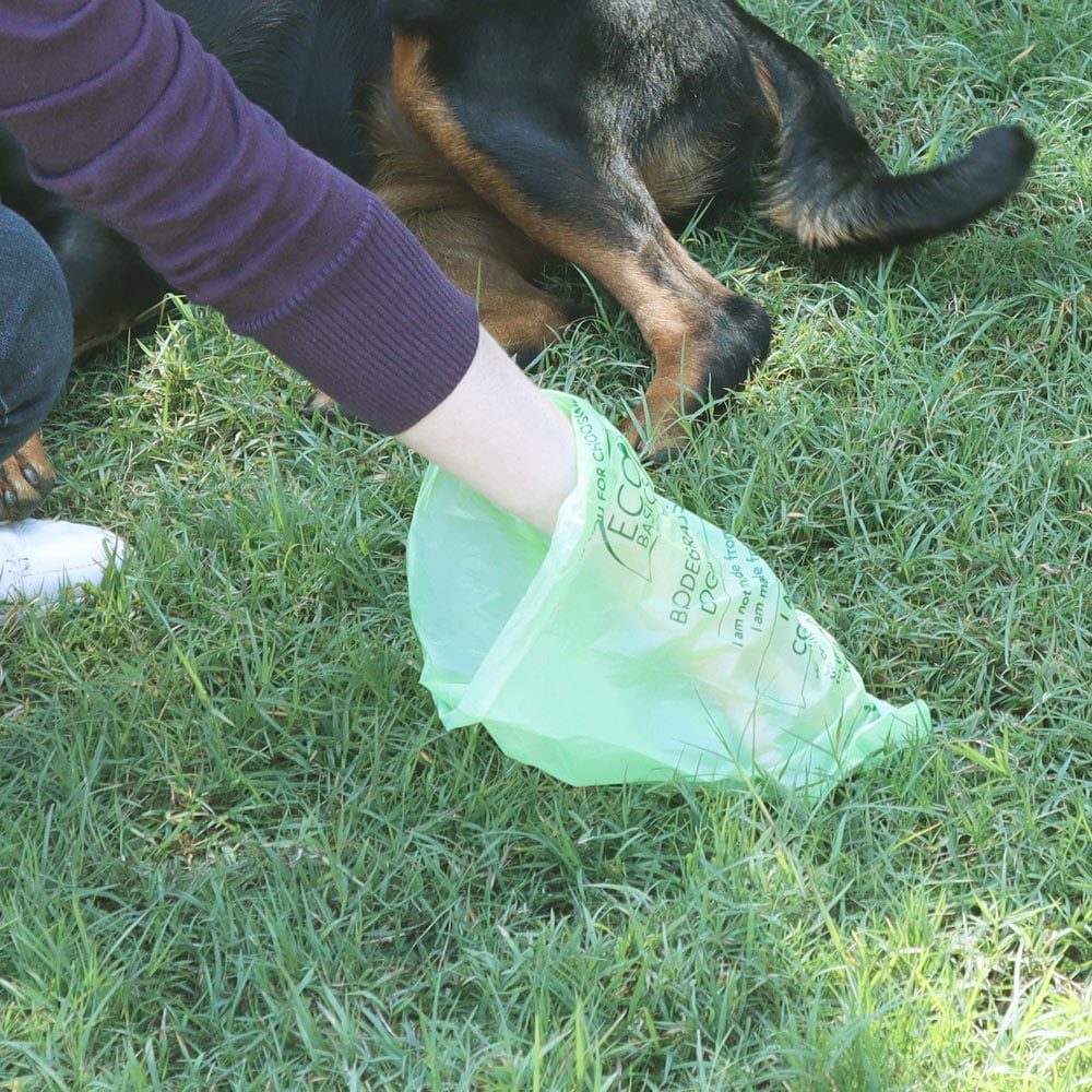 Eco Basics - Biodegradable Doggy Bags