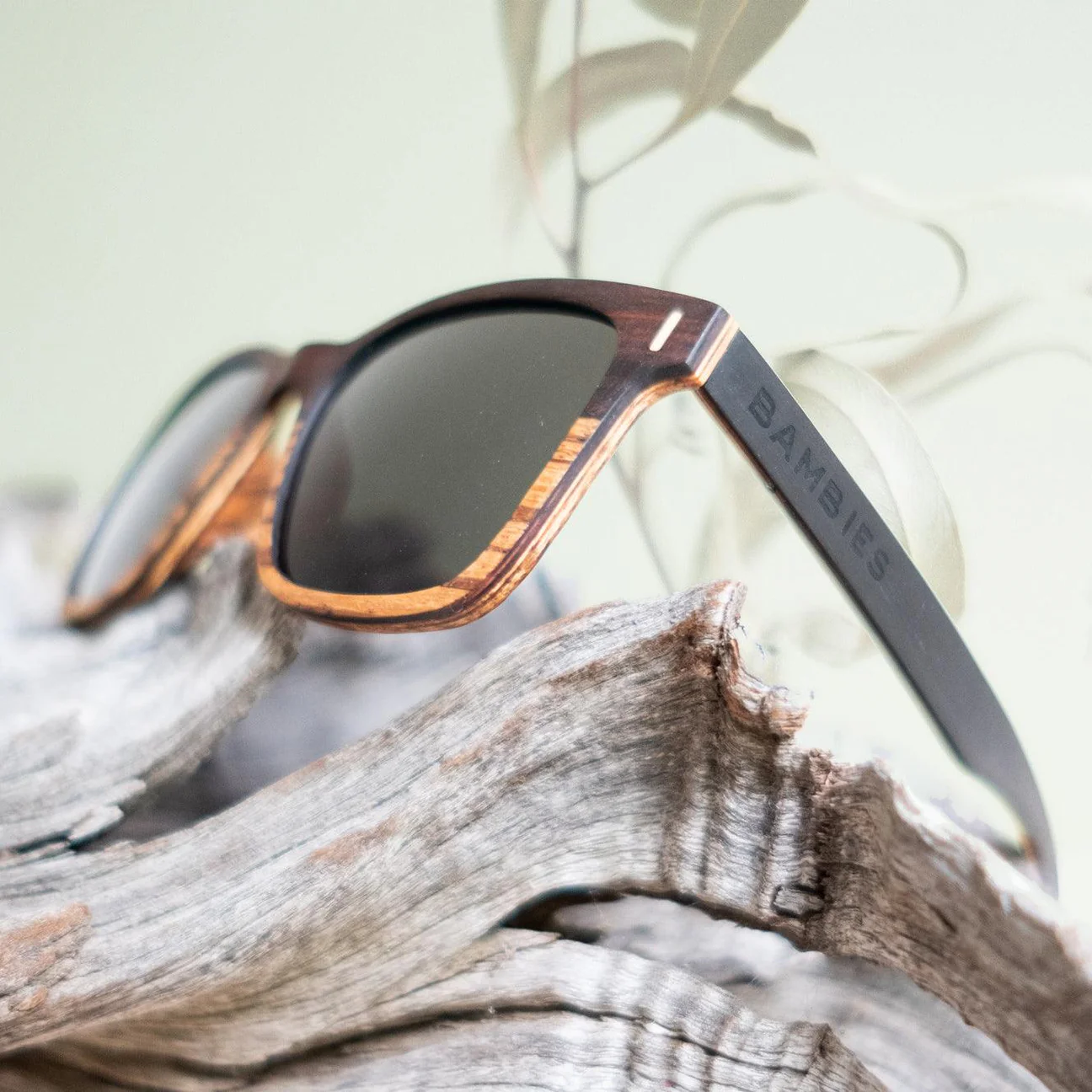 Bambies - Mackay Eco Sunglasses