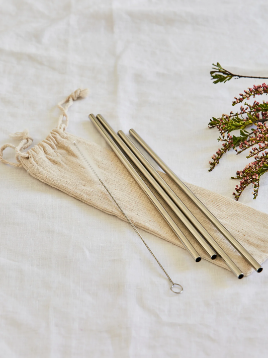 The Conscious Store - Set of 4 Metal Straws