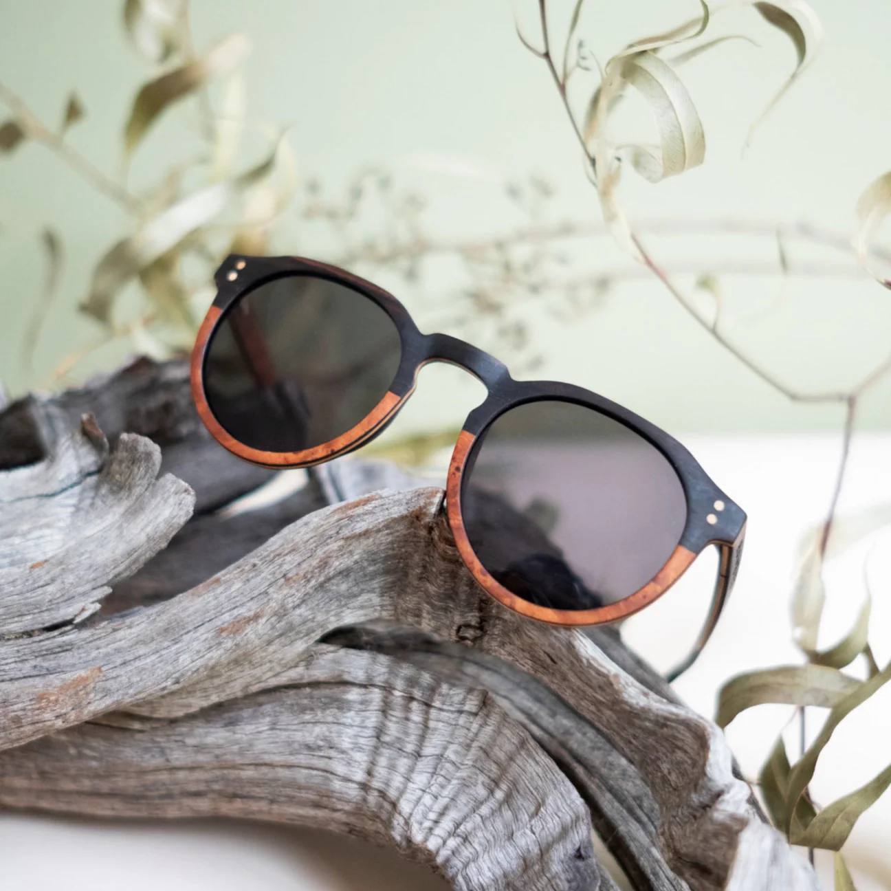 Bambies - Currumbin Eco Sunglasses