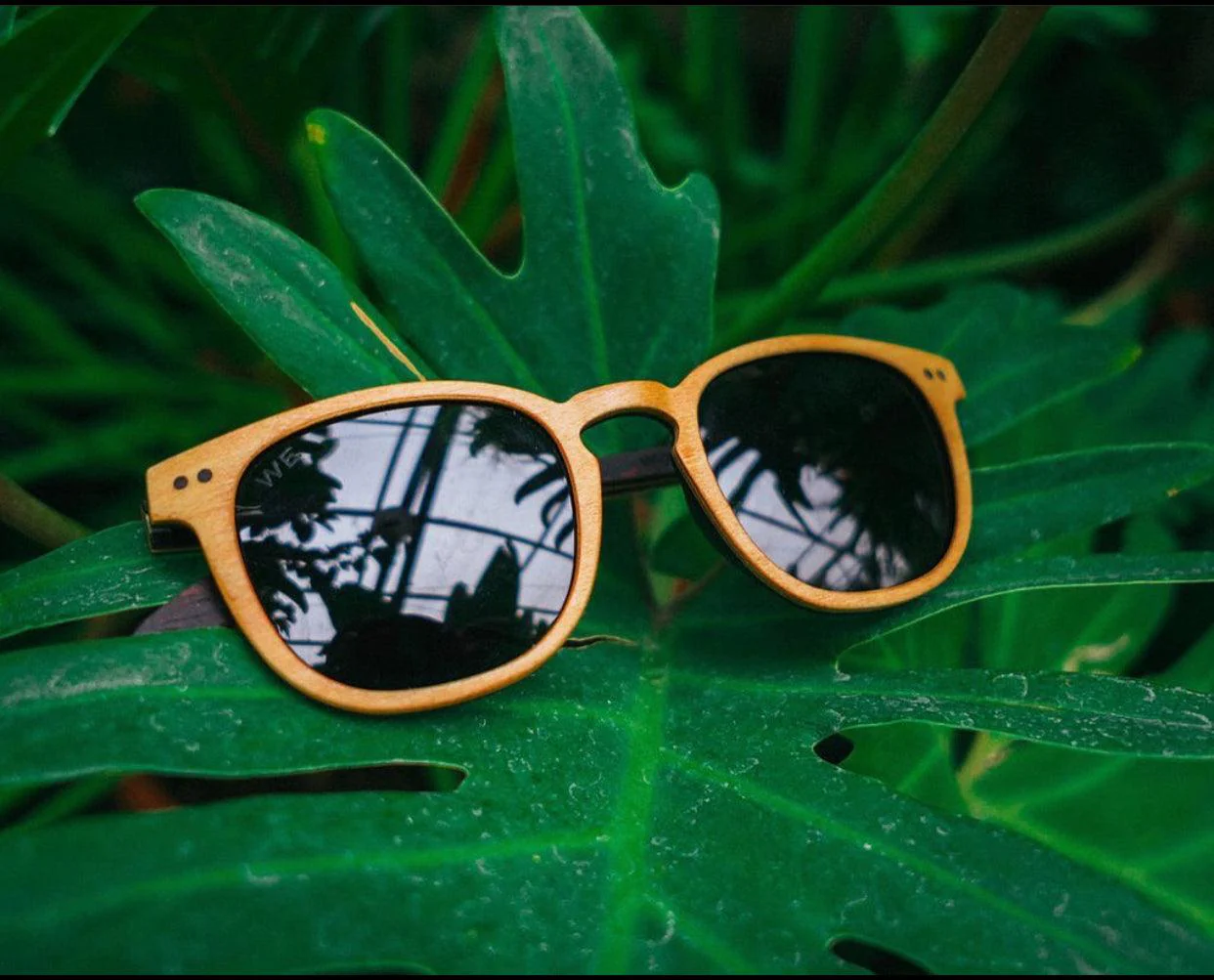 Bambies - Coogee Eco Sunglasses