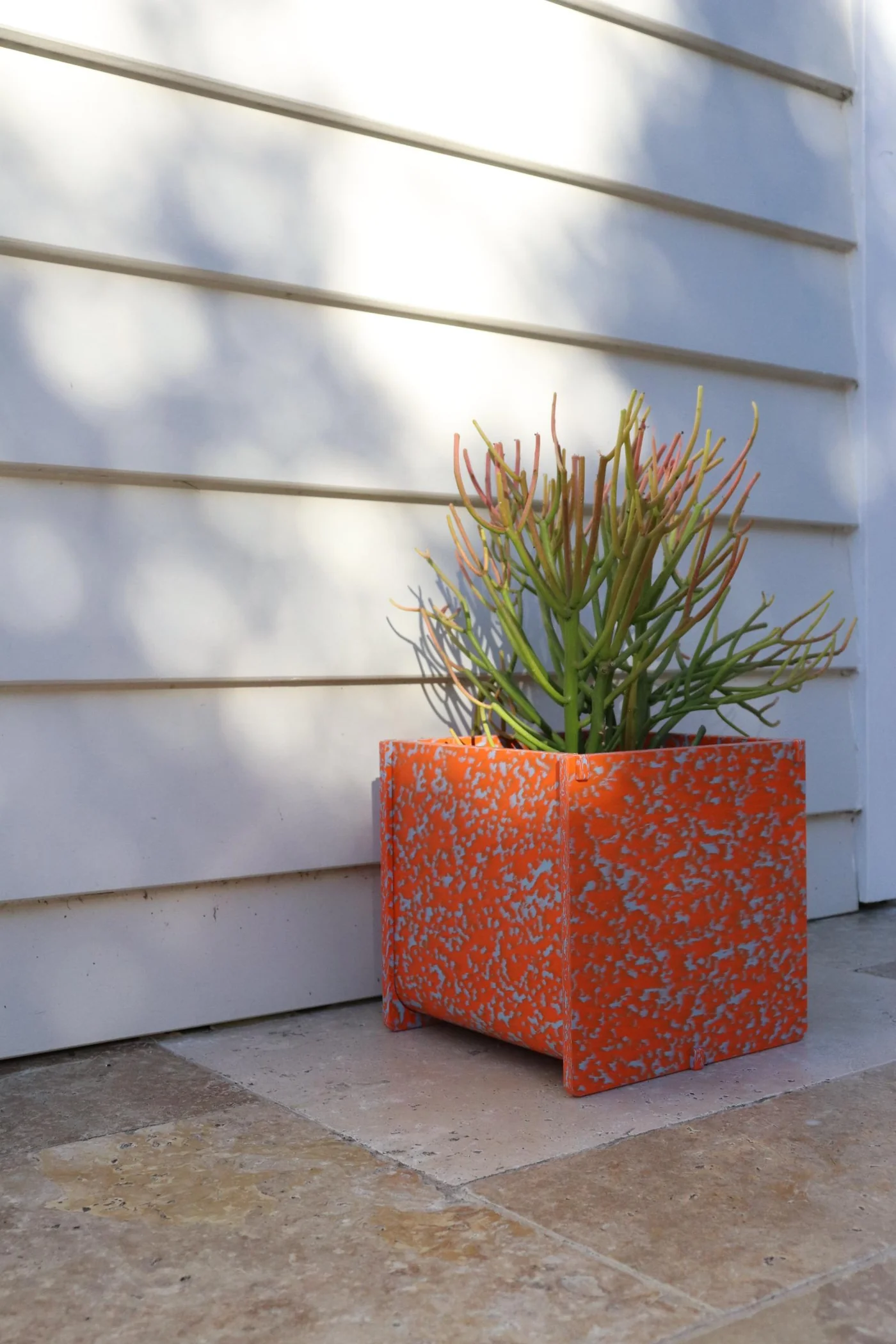 Potato and Sprout - Planter Pot + Drip Tray - Medium
