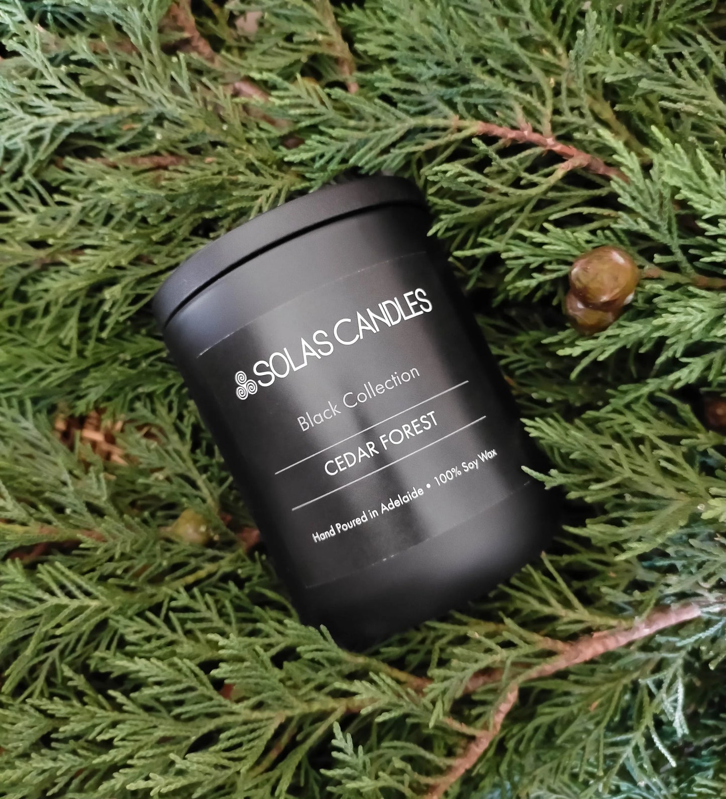 Solas Candles - Black Label Collection, Cedar Forest